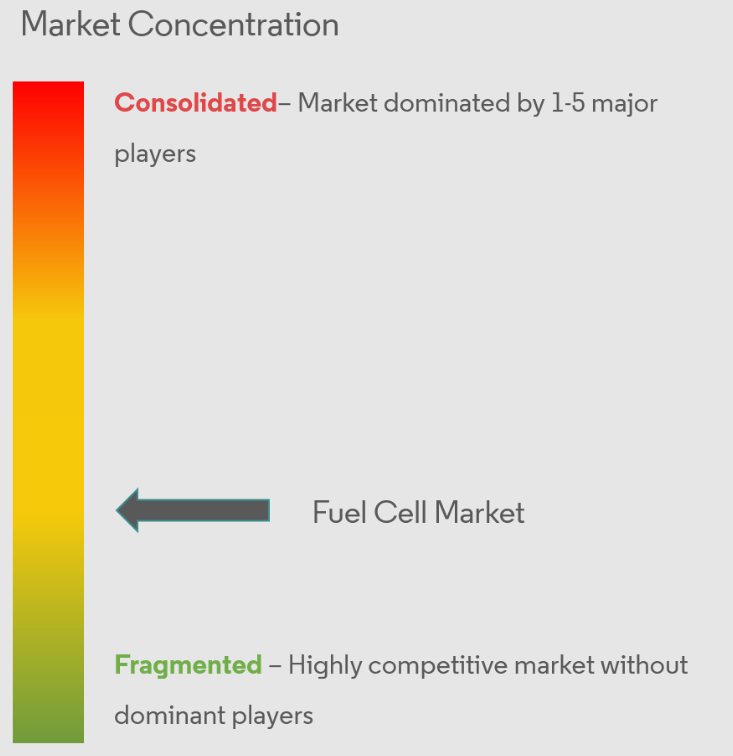 Fuel Cell Market Concentration